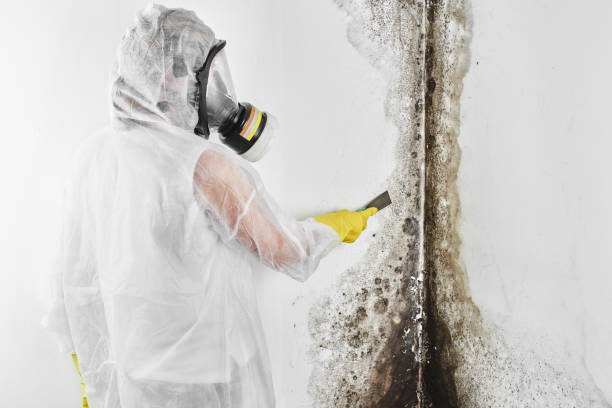 Best Crawl Space Mold Removal  in Melcher Dallas, IA