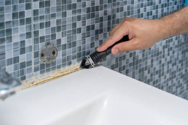 Best Certified Mold Removal  in Melcher Dallas, IA