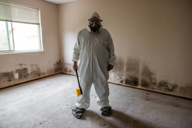 Best Commercial Mold Removal  in Melcher Dallas, IA